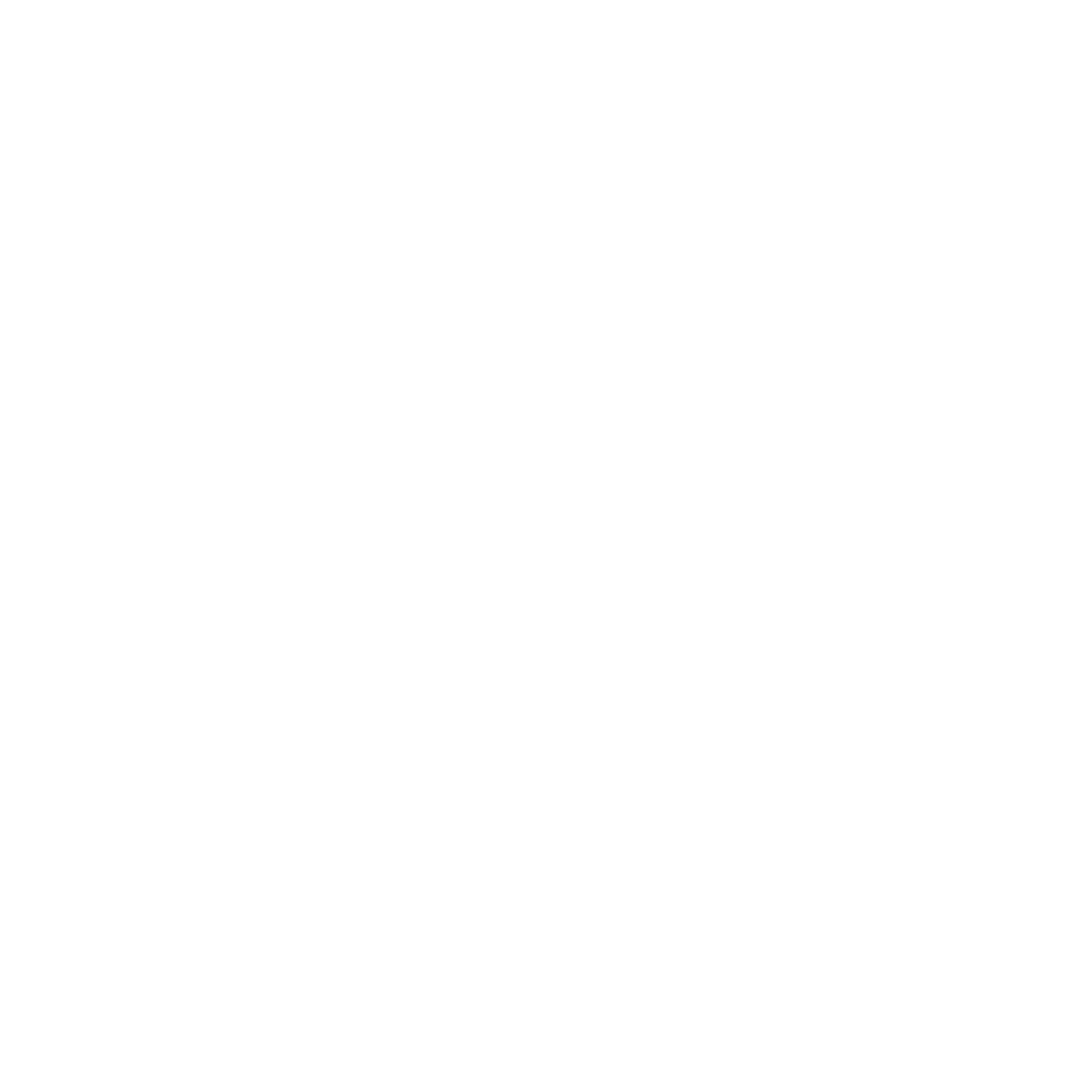 TNPay Logo
